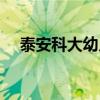 泰安科大幼儿园学费多少钱（泰安科大）