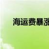 海运费暴涨10倍还抢不到货柜鹅3点半