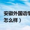 安徽外国语学院怎么样好吗（安徽外国语学院怎么样）