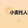 小委托人播放（小委托人在线观看）