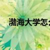 渤海大学怎么样 贴吧（渤海大学怎么样）