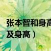 张本智和身高有多高（张本智和个人资料简介及身高）