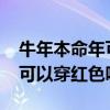 牛年本命年可以穿红色吗2021（牛年本命年可以穿红色吗）