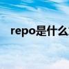 repo是什么意思英语（repo是什么意思）