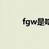 fgw是啥意思（fgw是什么意思）