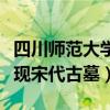 四川师范大学发现南宋古墓（四川师范大学发现宋代古墓）