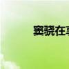 窦骁在享受何超莲做的雪花蛋糕