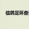 信鸽足环查询查成绩2020-03-0215114