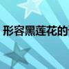 形容黑莲花的词语（黑莲花形容什么样的人）