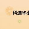 科迪华小麦除草剂（小麦除草剂）