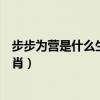 步步为营是什么生肖科学解释万州财经（步步为营是什么生肖）