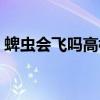 蜱虫会飞吗高楼层可以开窗吗（蜱虫会飞吗）