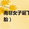 南非女子诞下十胞胎孩子(南非女子诞下十胞胎) 南非女子诞下十胞胎孩子(南非女子诞下十胞胎)