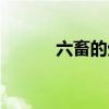 六畜的生肖是什么生肖(六畜) 六畜的生肖是什么生肖(六畜)