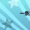 一条龙服务包括哪些服务？