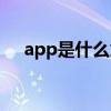 app是什么意思英语（app是什么意思）