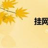 挂网是什么意思?（挂网）