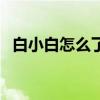 白小白怎么了为什么黑他（白小白怎么了）