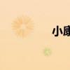 小康生活的标准是什么？