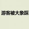 游客被大象踩死（游客喂大象时被卷起暴摔）