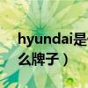 hyundai是什么牌子洗衣机（hyundai是什么牌子）
