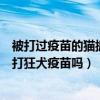被打过疫苗的猫抓出血了要打狂犬疫苗吗（被猫抓出血了要打狂犬疫苗吗）