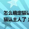 怎么确定猫认主人了吃啥野猫吃啥（怎么确定猫认主人了）