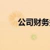 公司财务报表（企业财务会计报表）