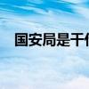 国安局是干什么的?（国安局是干什么的）