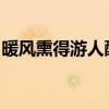 暖风熏得游人醉直把杭州作汴州的意思是什么