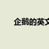 企鹅的英文怎么读语音（企鹅的英文）