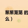 葱葱茏茏 的近义词（葱葱茏茏的近义词是什么）