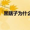 黑瞎子为什么不老实（黑瞎子为什么不老）