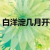 白洋淀几月开荷花（白洋淀荷花什么时候开）