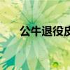 公牛退役皮蓬球衣（公牛队退役球衣）