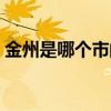 金州是哪个市的城市（金州是哪个省的城市）
