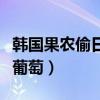 韩国果农偷日本葡萄的电影（韩国果农偷日本葡萄）