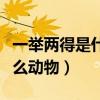 一举两得是什么动物有哪几肖（一举两得是什么动物）