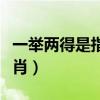 一举两得是指什么生肖（一举两得最佳答案生肖）