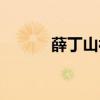 薛丁山被杀（薛丁山怎么死的）