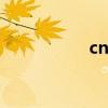 cnpRX官网（cnprx）