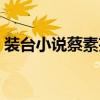 装台小说蔡素芬经历（装台小说蔡素芬结局）