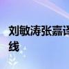 刘敏涛张嘉译合作电视剧对你的爱很美手机在线