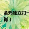 金鸡独立打一个生肖数字（金鸡独立打一个生肖）