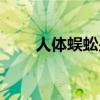 人体蜈蚣是什么样（人体蜈蚣简介）