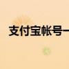 支付宝帐号一定是手机号吗（支付宝帐号）