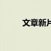 文章新片宣传片视频（文章新片）