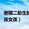 谢娜二胎生的男孩女孩难产（谢娜二胎生的男孩女孩）