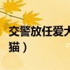 交警放任爱犬咬死猫道歉（交警放任爱犬咬死猫）