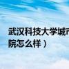 武汉科技大学城市学院怎么样好不好（武汉科技大学城市学院怎么样）